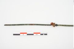 Foto von Bronzespinnrocken (NHMW-PRAE-025193)